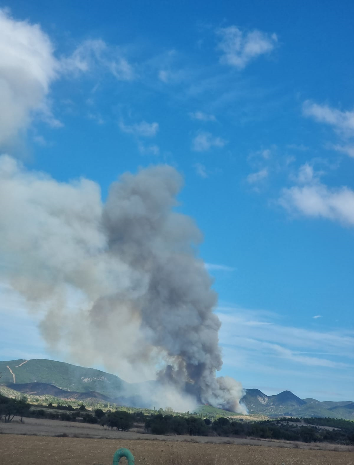 �anakkale'de orman yang�n