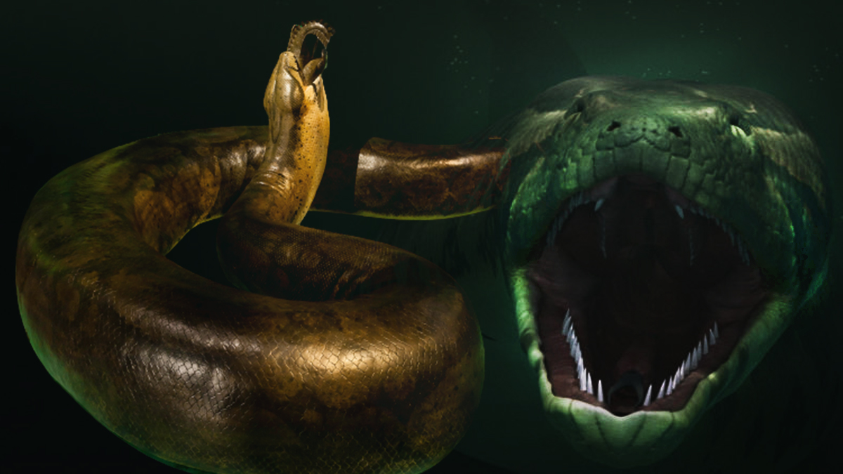 Bir insan� tek seferde yutabilir! Duyduklar�n�za inanamayacaks�n�z: Canavar y�lan�