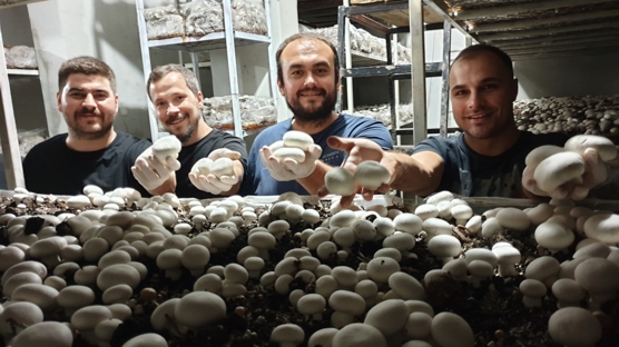 Kilogram 50 lira! 3.5 ton rekolte bekliyorlar