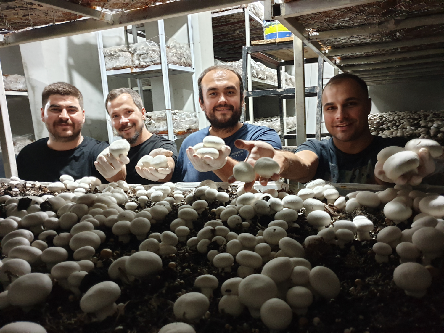 Kilogram� 50 lira! 3.5 ton rekolte bekliyorlar