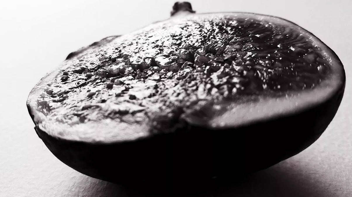 T�rkiye d�nya lideri! 258 milyon dolar kazand�k