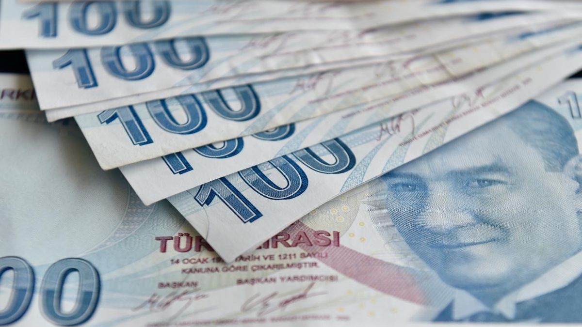 Dikkat! Paranz birikmi olabilir: e-Devlet'ten kontrol edin