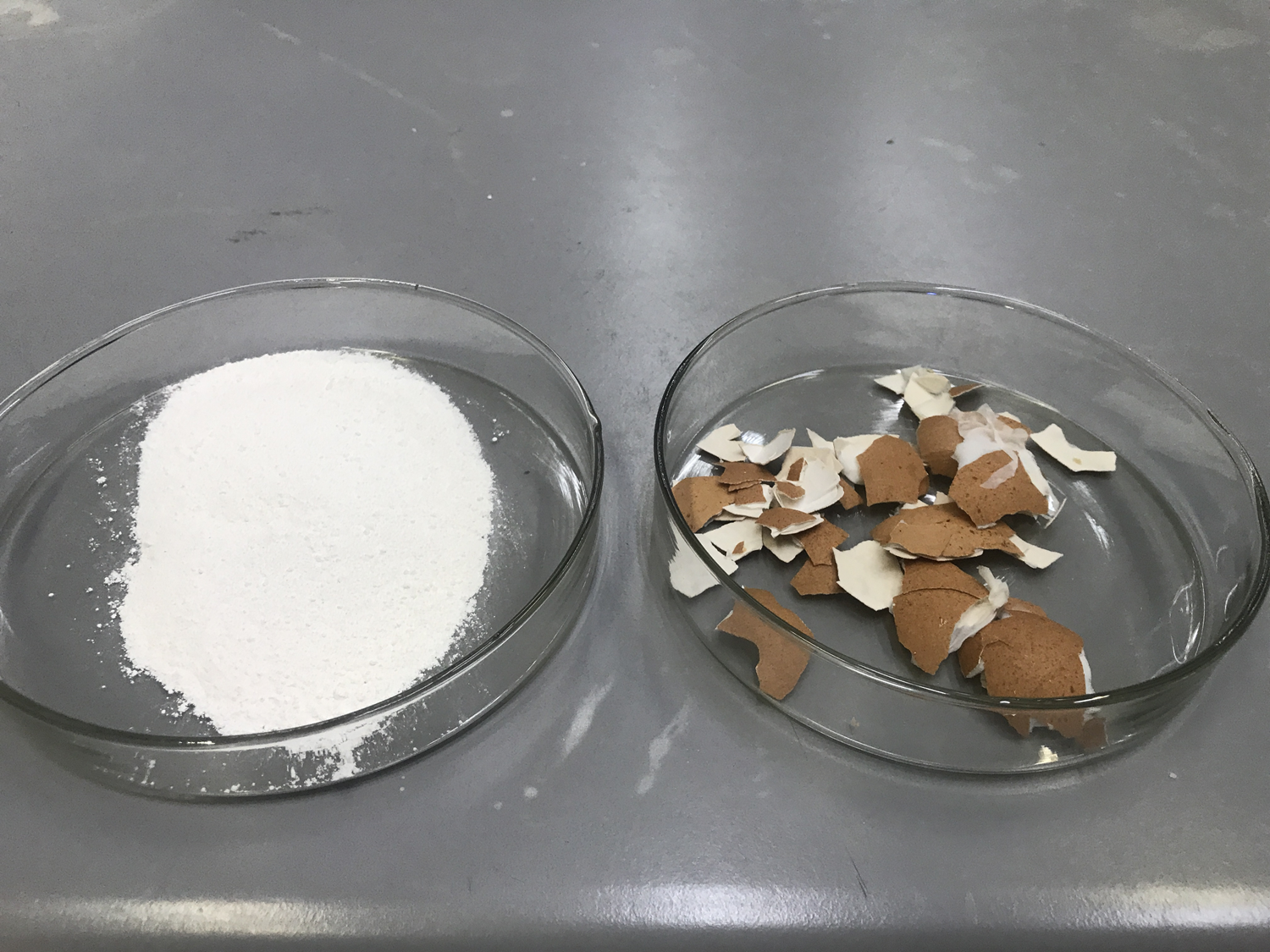 Yumurta kabu�u kullan�lacak: 1 gram ile 110 miligram karbondioksit yakalayacak!