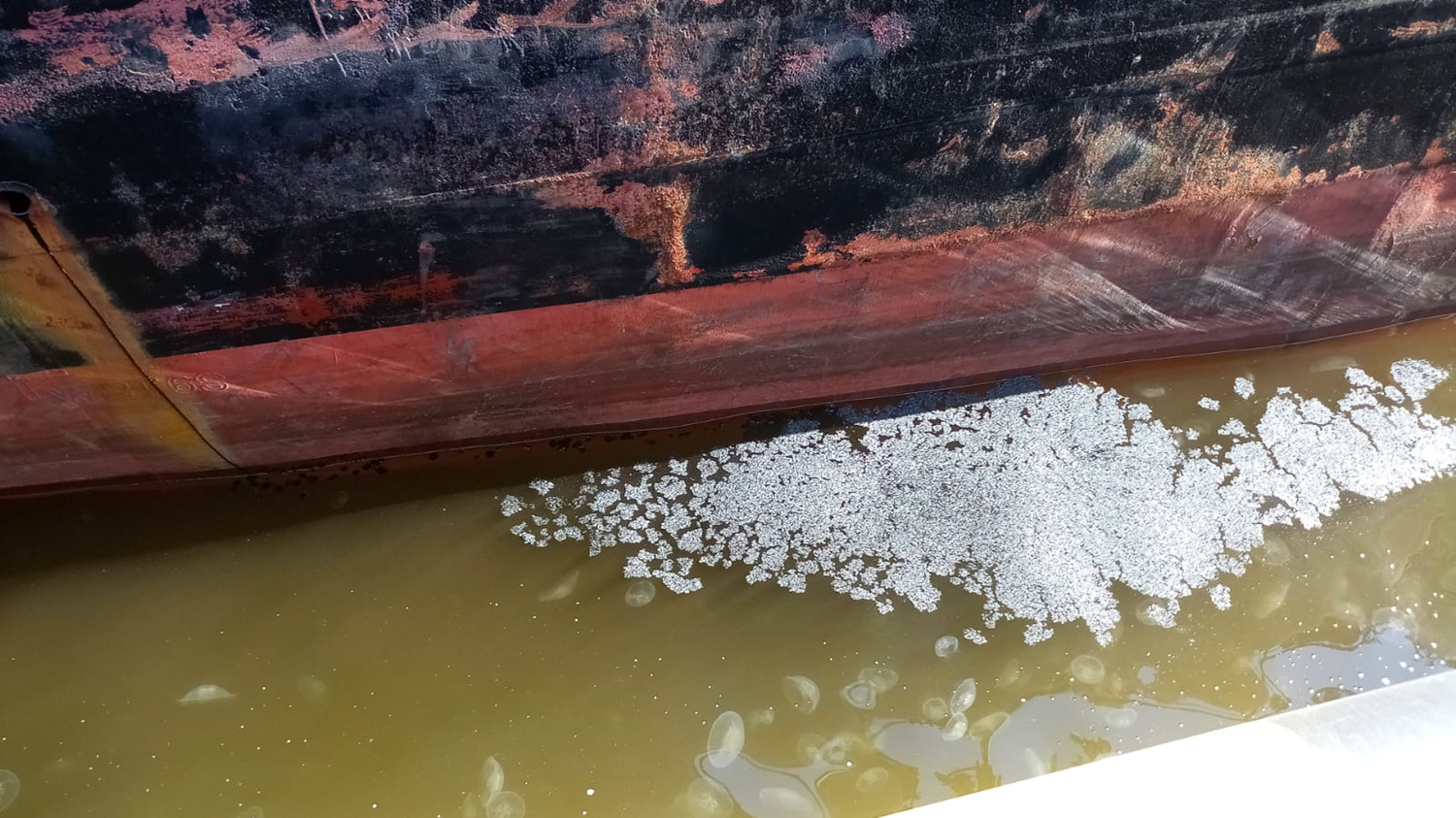 �zmit K�rfezi'ni kirleten gemiye 5 milyon 122 bin 793 lira ceza yaz�ld�