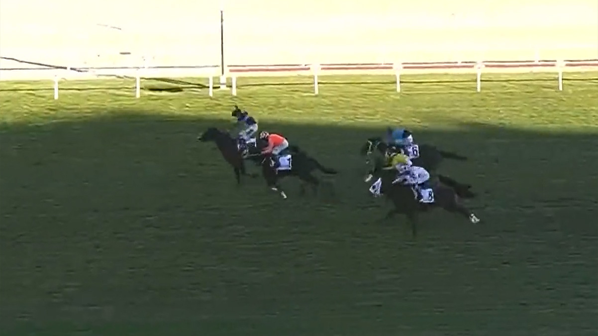 84. Cumhurbakanl Kousu'nun galibi 'Final Dance'