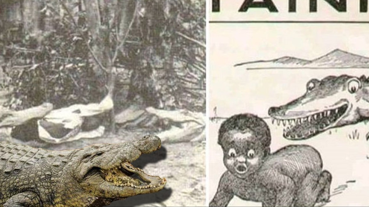 Kanl tarih! Bebekleri timsahlara yem ettiler, derileri ile kitap kapladlar