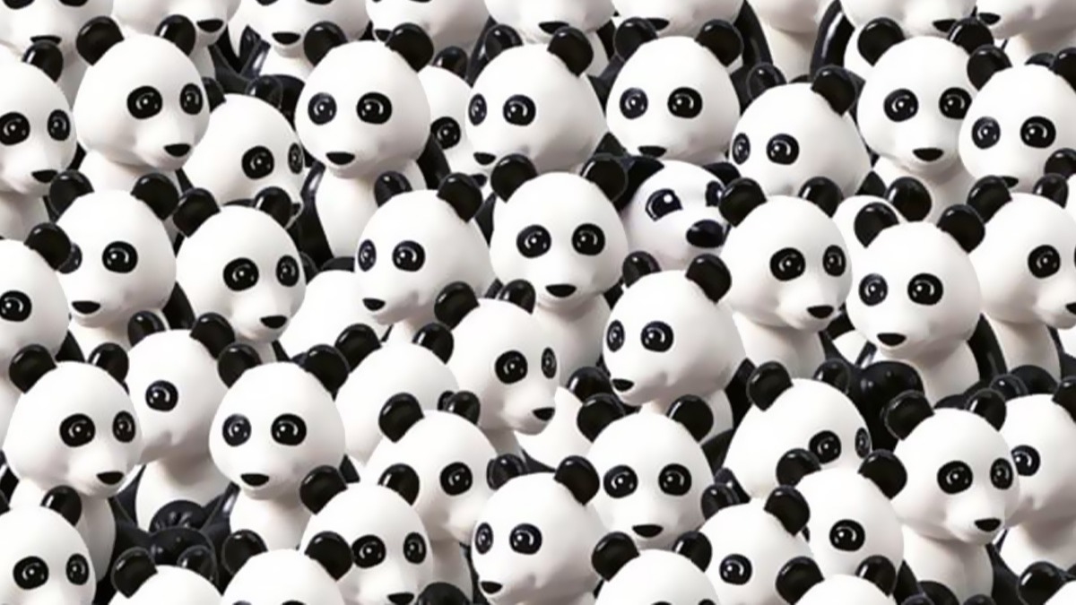 Sadece dahiler 10 saniyede bulabiliyor! Pandalar arasna gizlenmi kpei bulabilir misin?