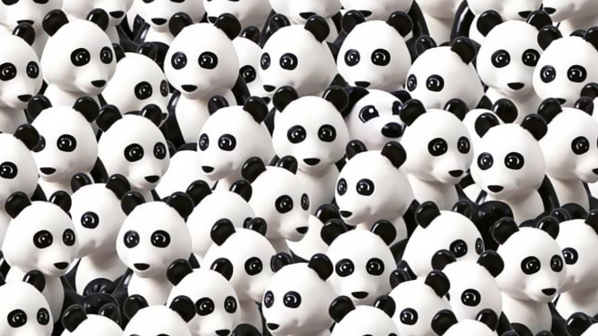 Sadece dahiler 10 saniyede bulabiliyor! Pandalar arasna gizlenmi kpei bulabilir misin?