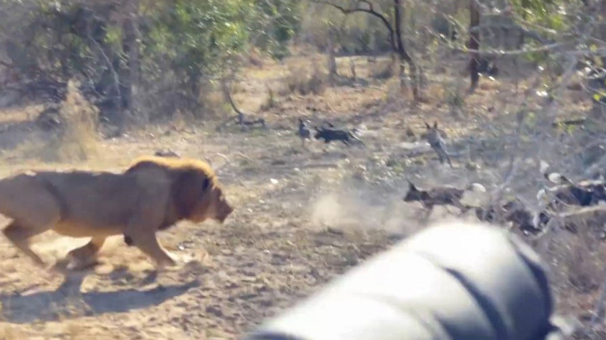 Zengin bat�l�lar�n 'kanl�' tutkusu! �ld�rmek i�in 60 bin dolar �d�yorlar