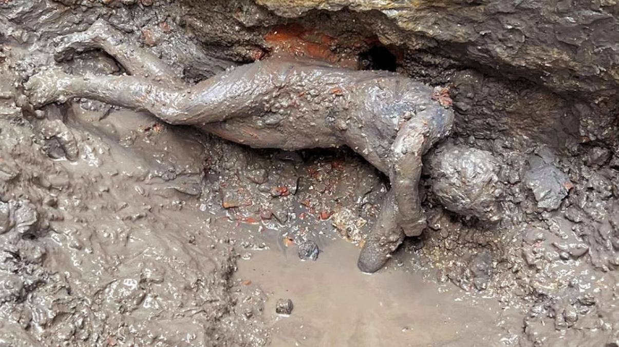 Tarihi de�i�tirecek ke�if: Bu ola�an�st�