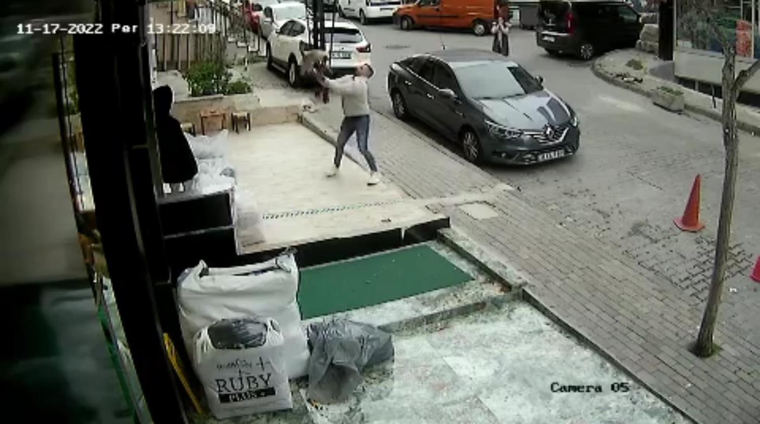 3. kattan d��en kediyi havada yakalad�