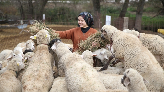 Baba mesleğini sürdürmeye karar veren 21 yaşındaki genç kız devlet desteğiyle sürü sahibi oldu
