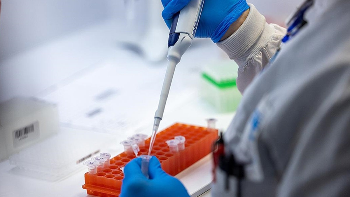 D�nya Sa�l�k �rg�t� �al��ma ba�latt�! Liste 2023'�n ilk �eyre�inde yay�mlanacak