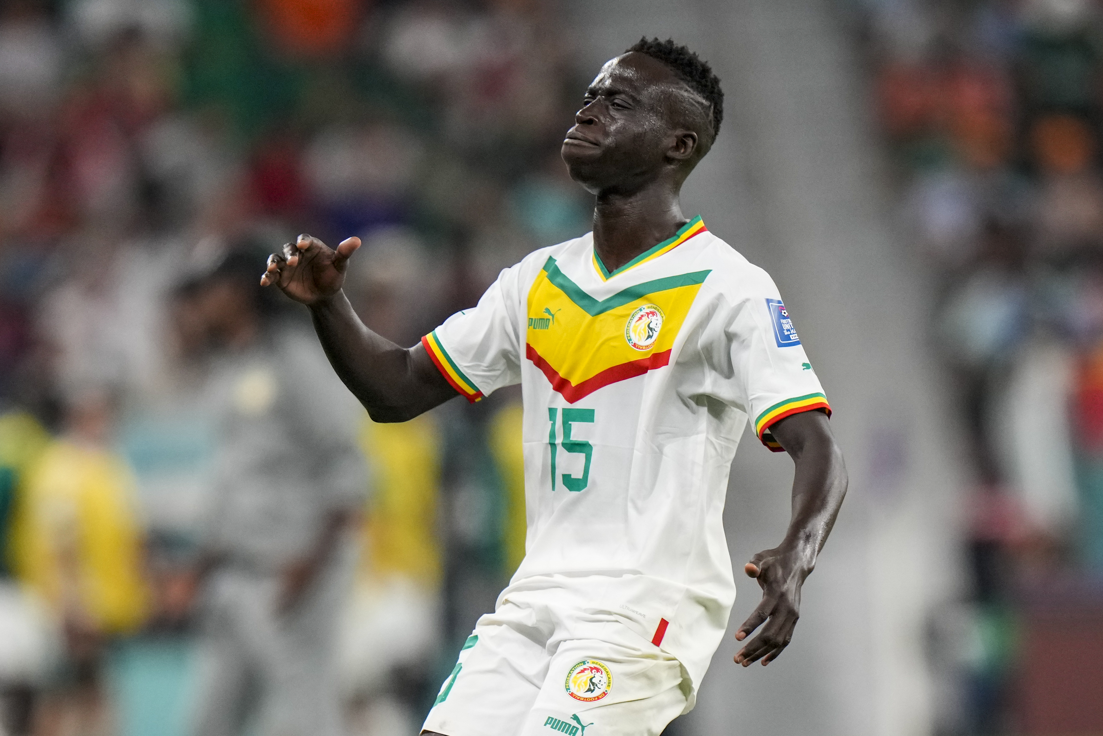 Afrika ekipleri D�nya Kupas�'na k�t� ba�lad�