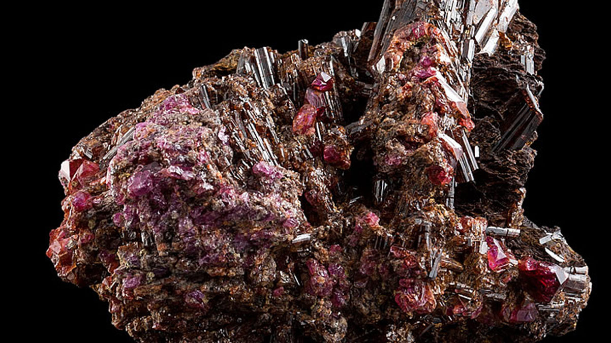 Piyasa de�eri 200 milyon TL! Mu�la'da yakaland�