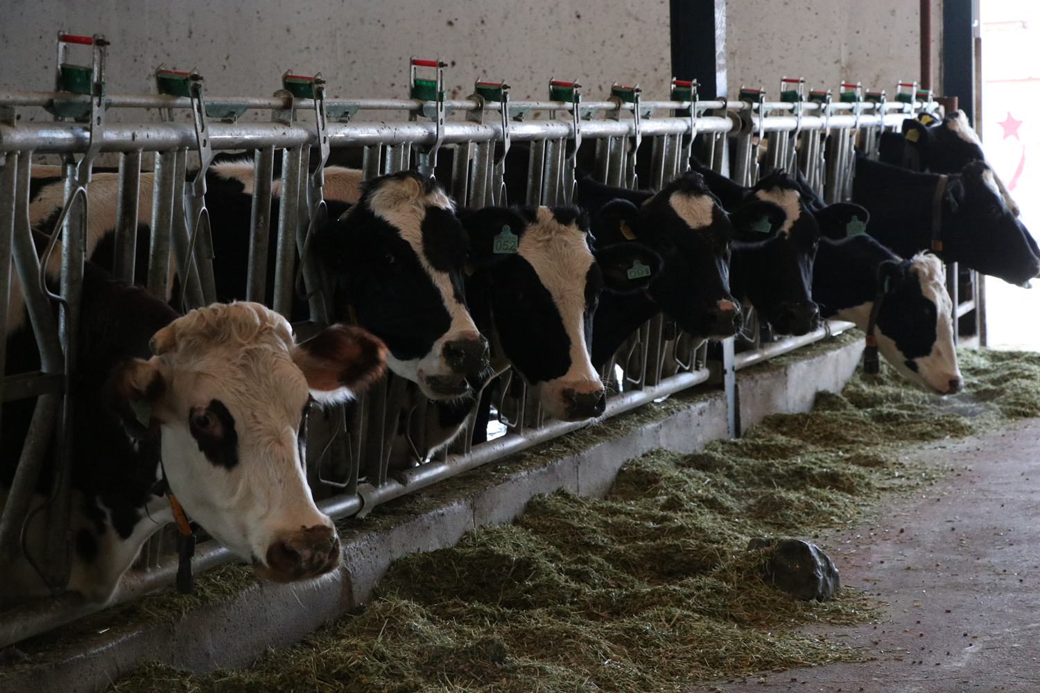 Devlet deste�iyle i�ini b�y�tt�: Ayl�k 70 ton �retiyor