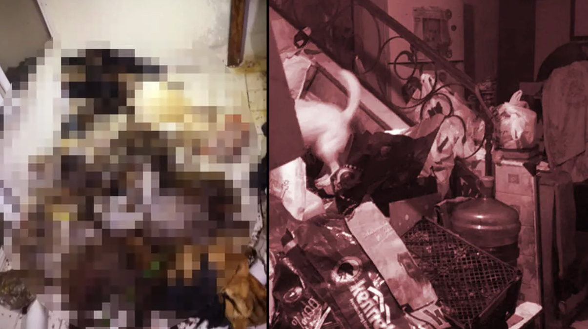 Marmaris'te bir evde �ok say�da kedi k�pek �l�s� bulundu