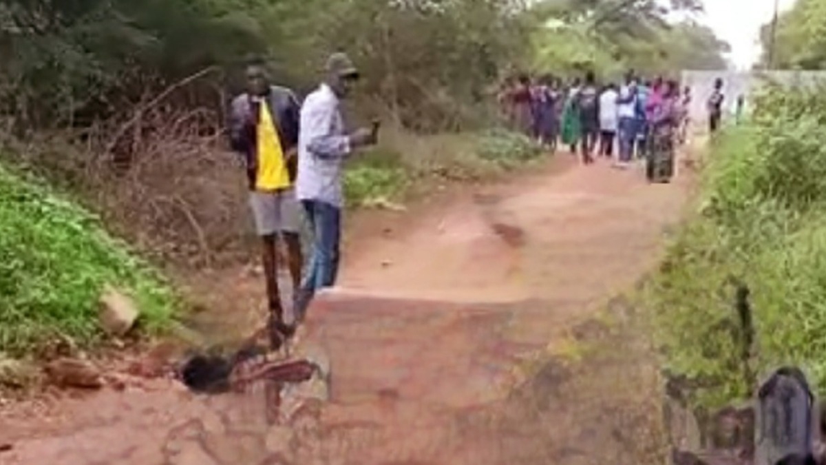 Zambiya'da bo arazide 27 gmenin cansz bedeni bulundu