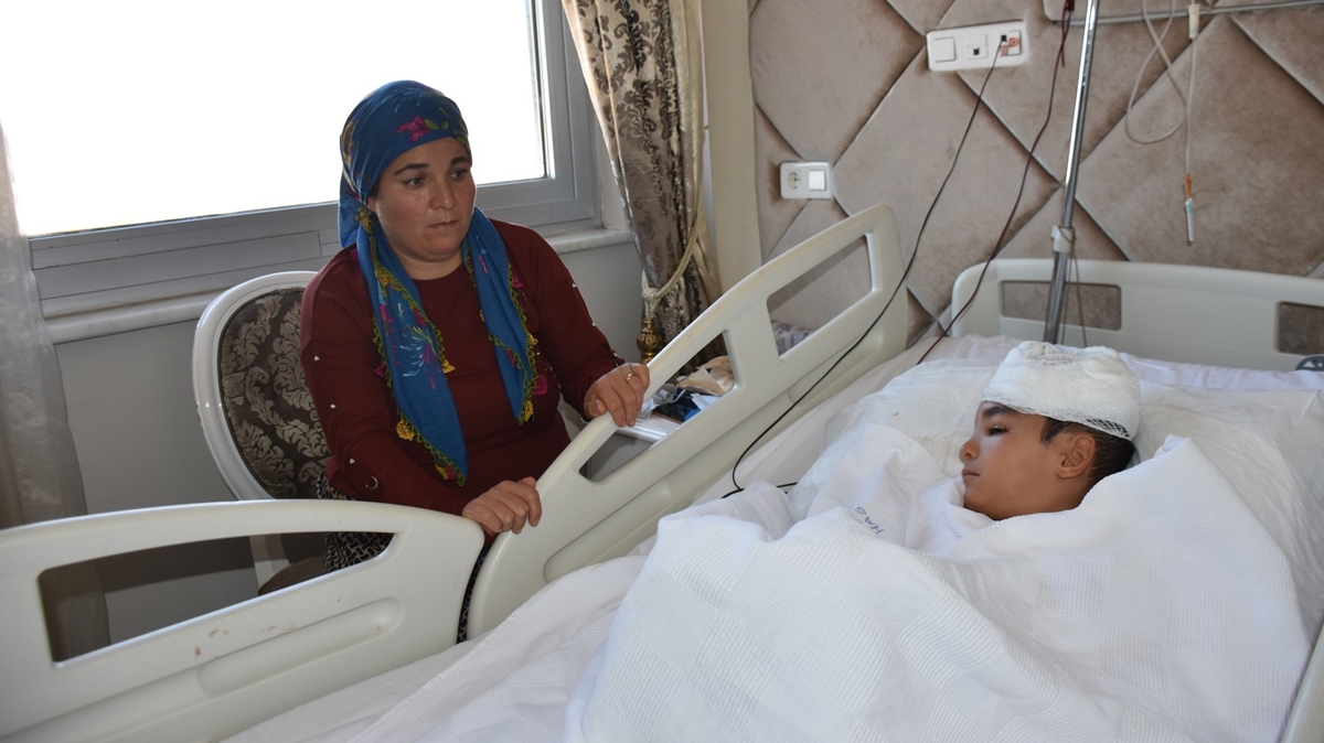 Gaziantep'te sahipsiz kpein saldrd ocuk yaraland
