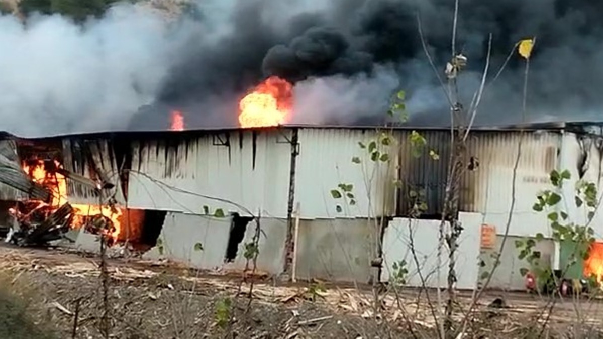 Amasya'da kontrplak fabrikasnda korkutan yangn