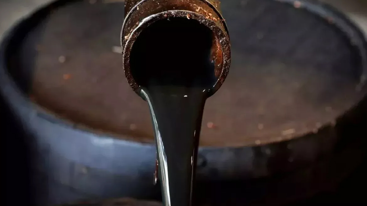 Petrol ve do�al gaz zengini: Hepsini imha etti