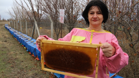 Devlet desteğiyle arıcılığa başladı, ilk sezonunda 50 bin lira kazanç elde etti