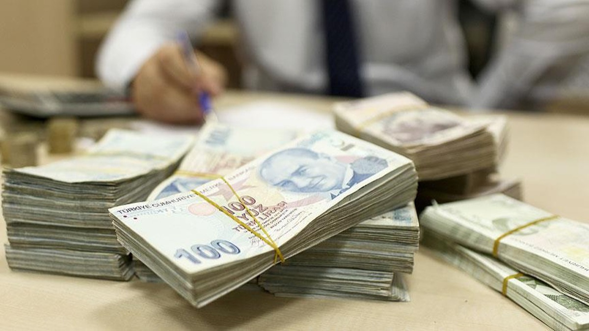 Trk liras mevduatlar ve katlm hesaplar yeni ylda da tevik edilecek