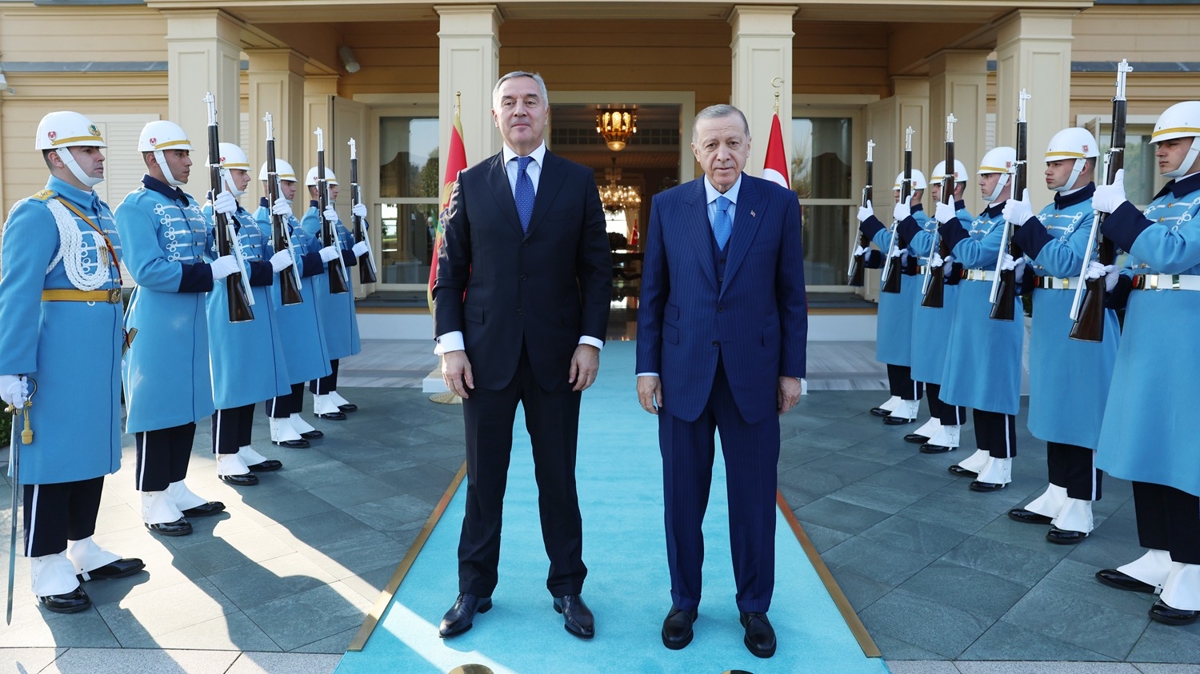Cumhurbakan Erdoan, Karadal mevkidayla grt