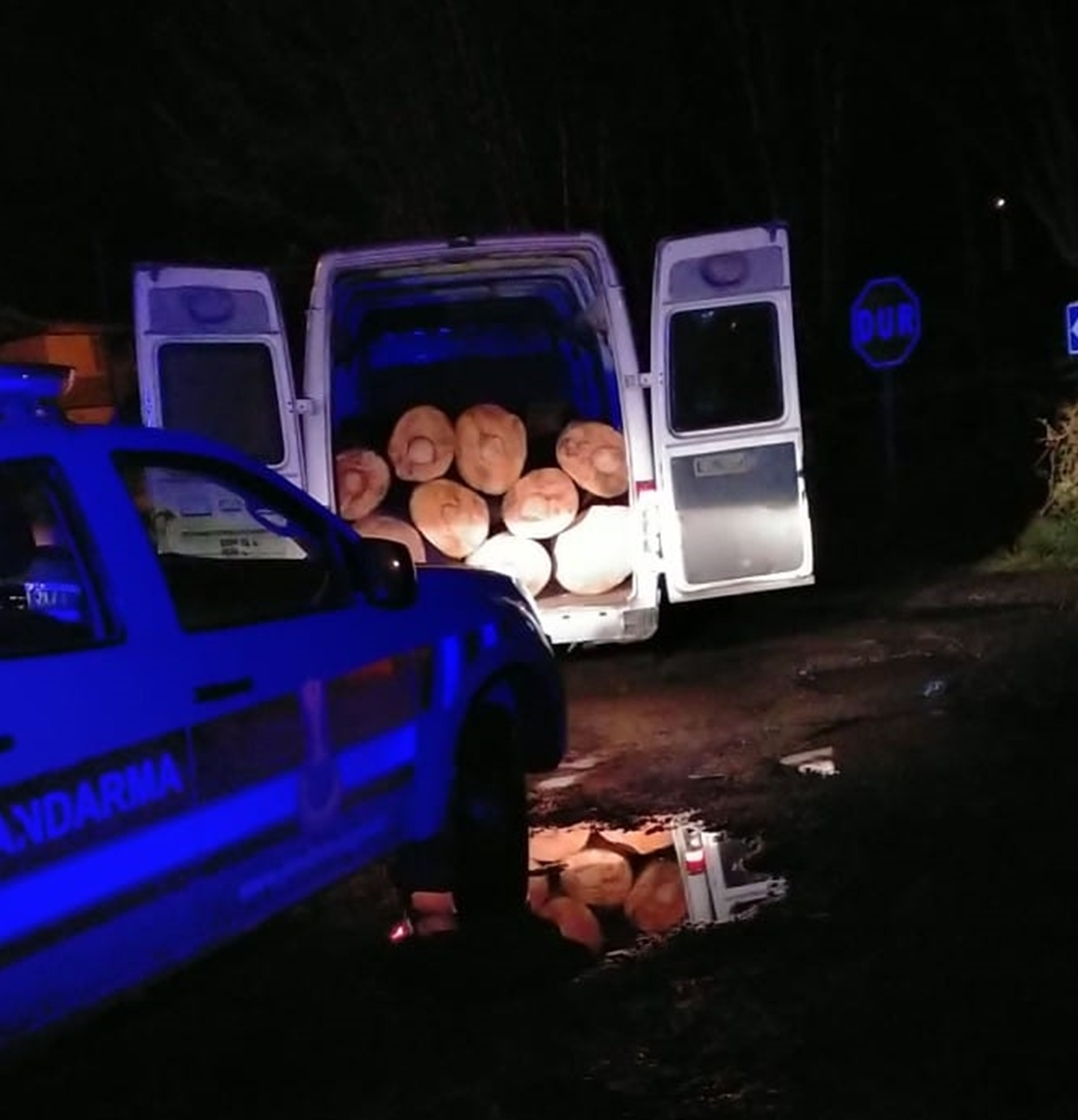 Durdurulan arata kaak kesilmi 5 ton odun bulundu