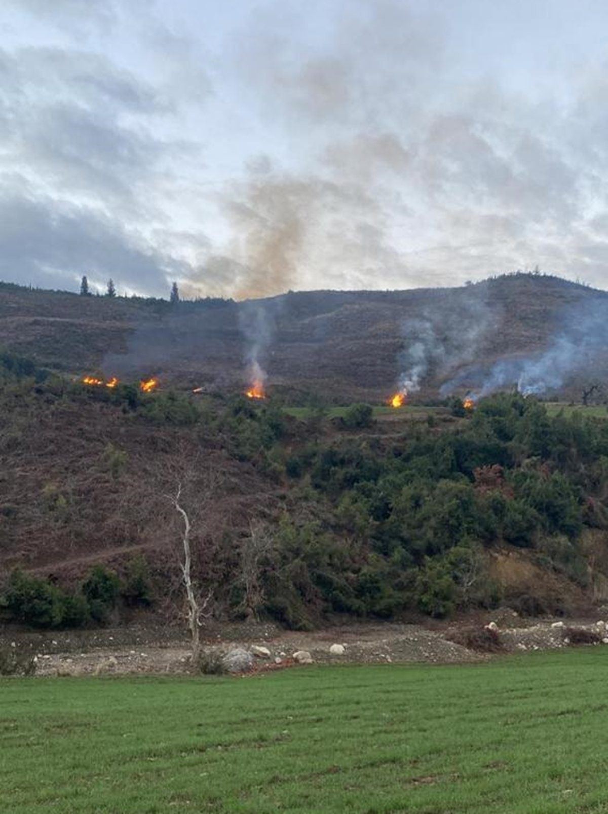 A�a�land�rma sahas�nda yang�n ��kt�: Olay ile ilgili 1 ki�i g�zalt�na al�nd�