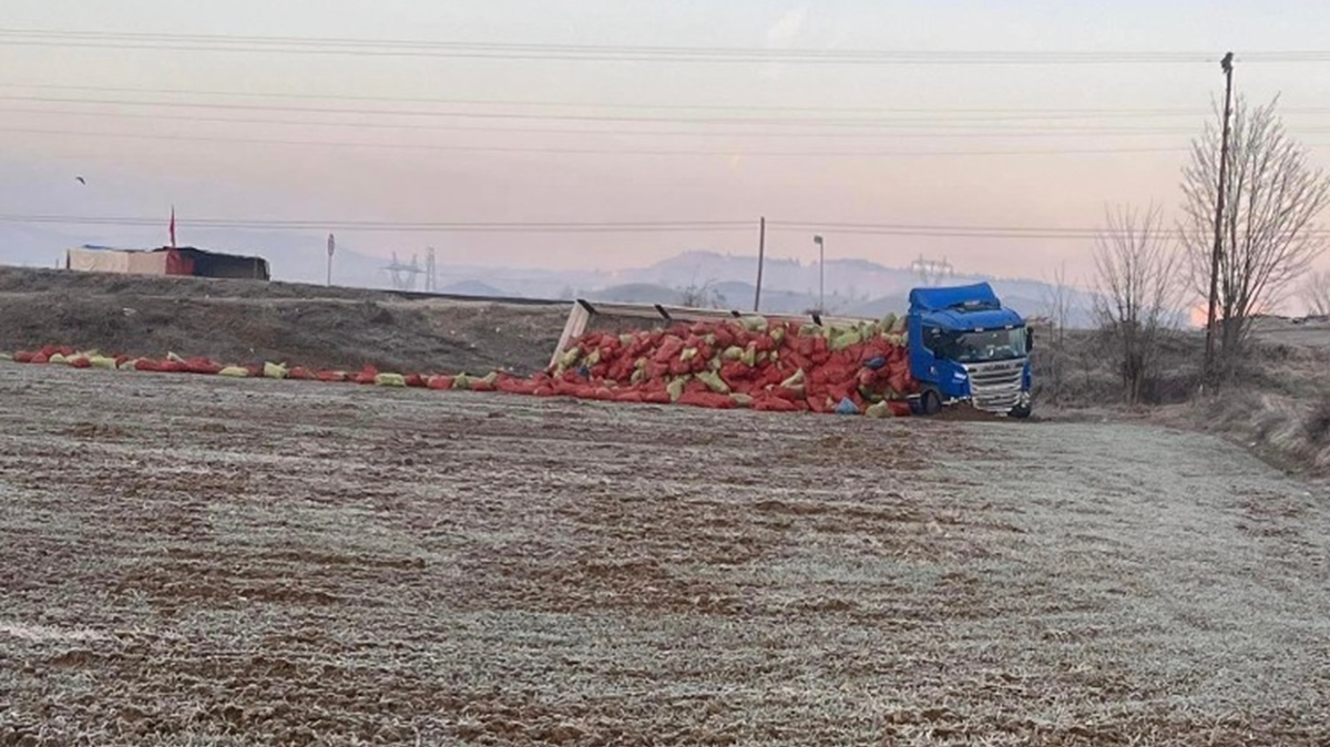 Tr yoldan kt: Dorsesindeki soanlar tarlaya sald