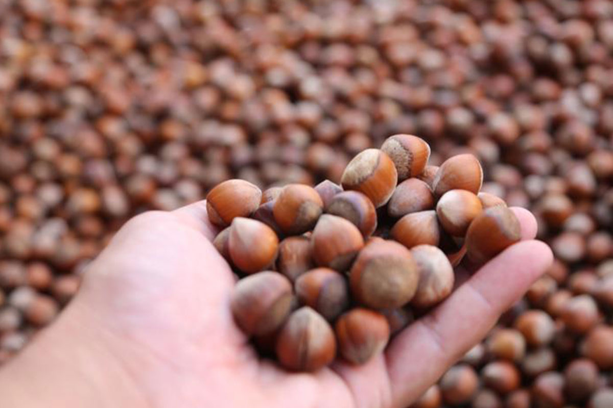 T�rk f�nd��� yeni pazar ar�yor: 15 �lkede tan�t�lacak