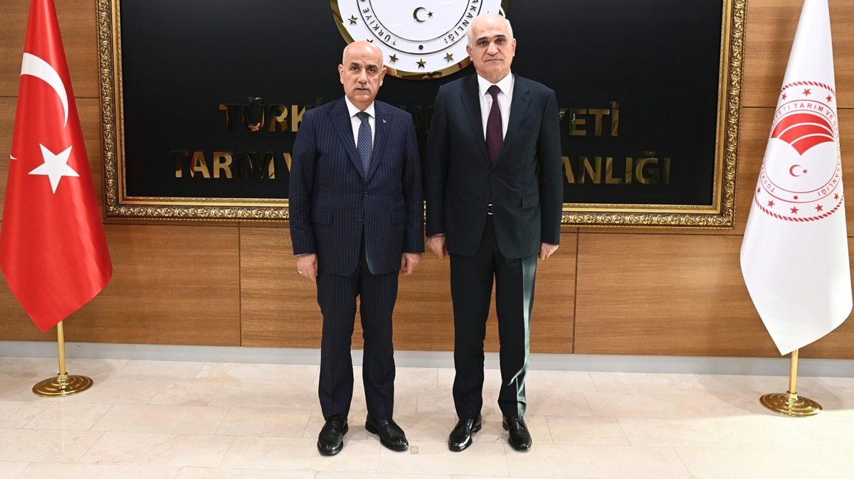 Bakan Kirici, Azerbaycan Babakan Yardmcs Mustafayev ile grt 