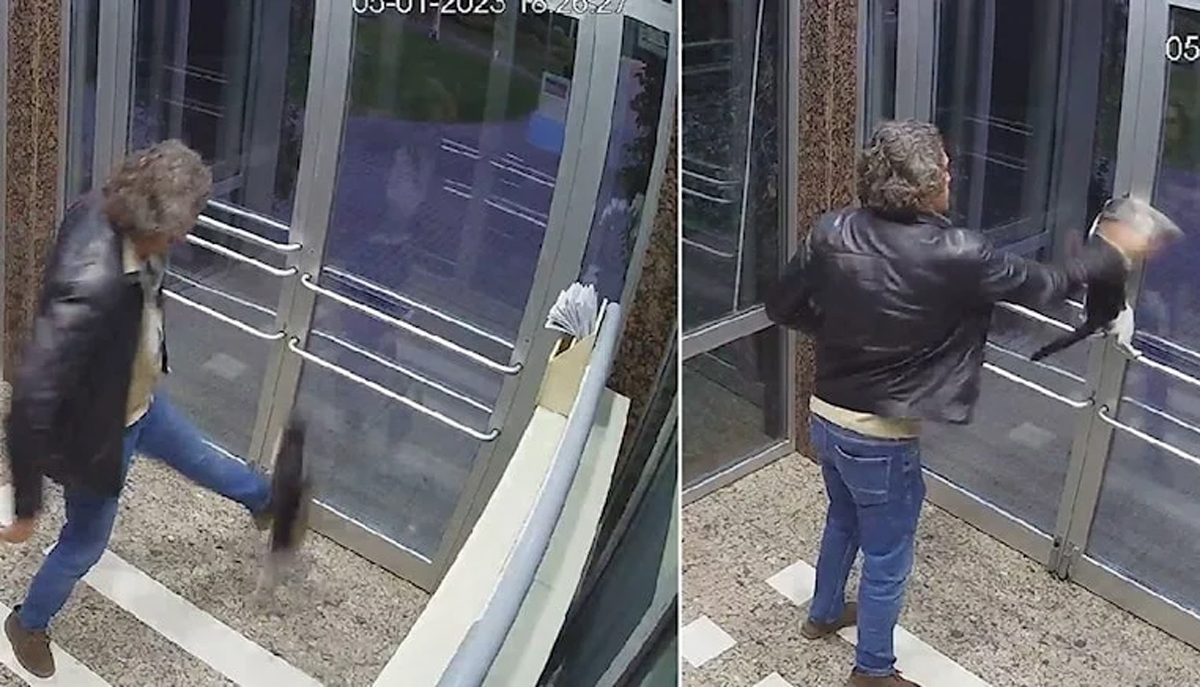 Kediyi tekmeleyen ki�inin cezas� belli oldu