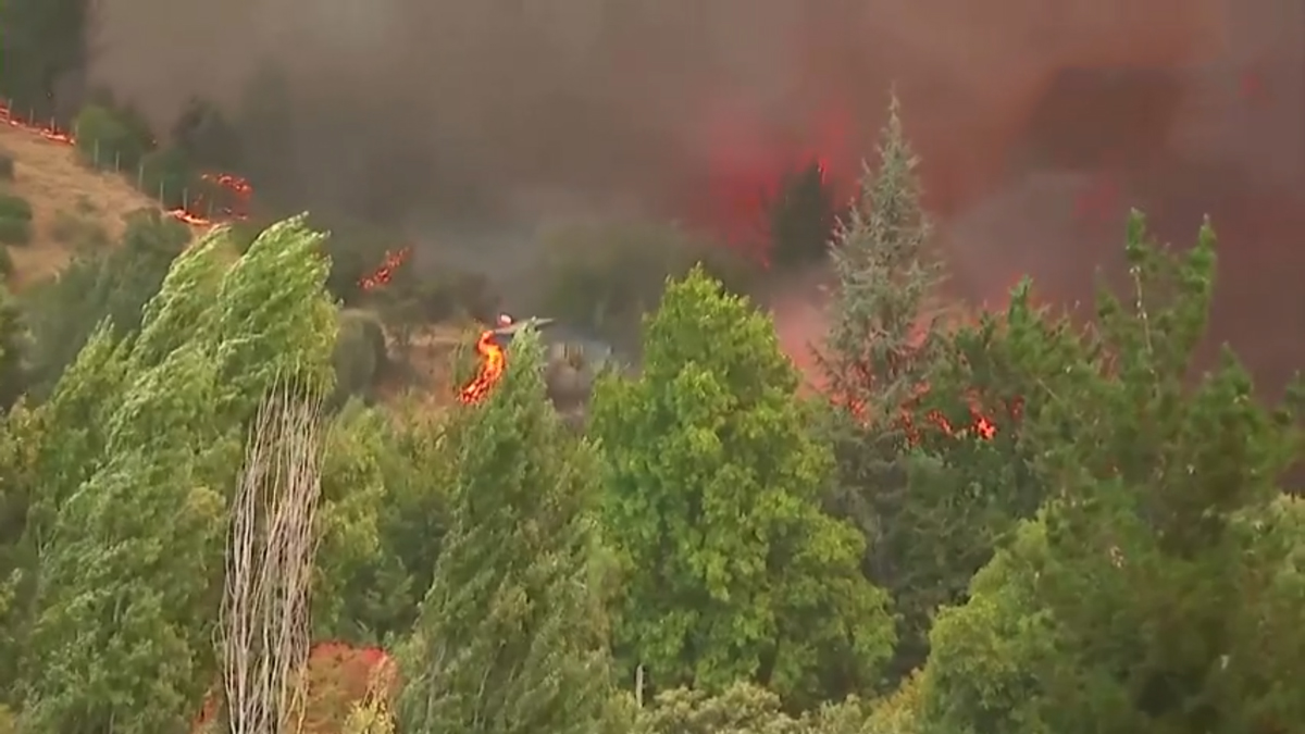 �ili'de orman yang�nlar� can ald�