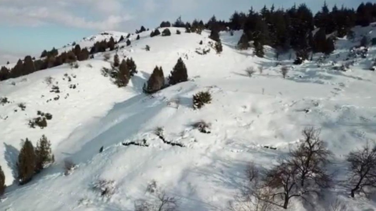 Deprem Berit Da'nda da yarlmalara neden oldu