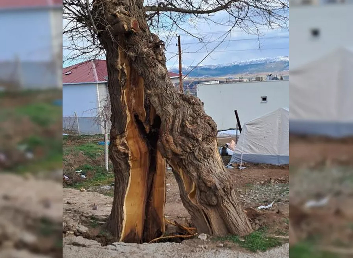 Uzmanlar: Fay�n g�c�yle a�a� ne yapaca��n� �a��rm��