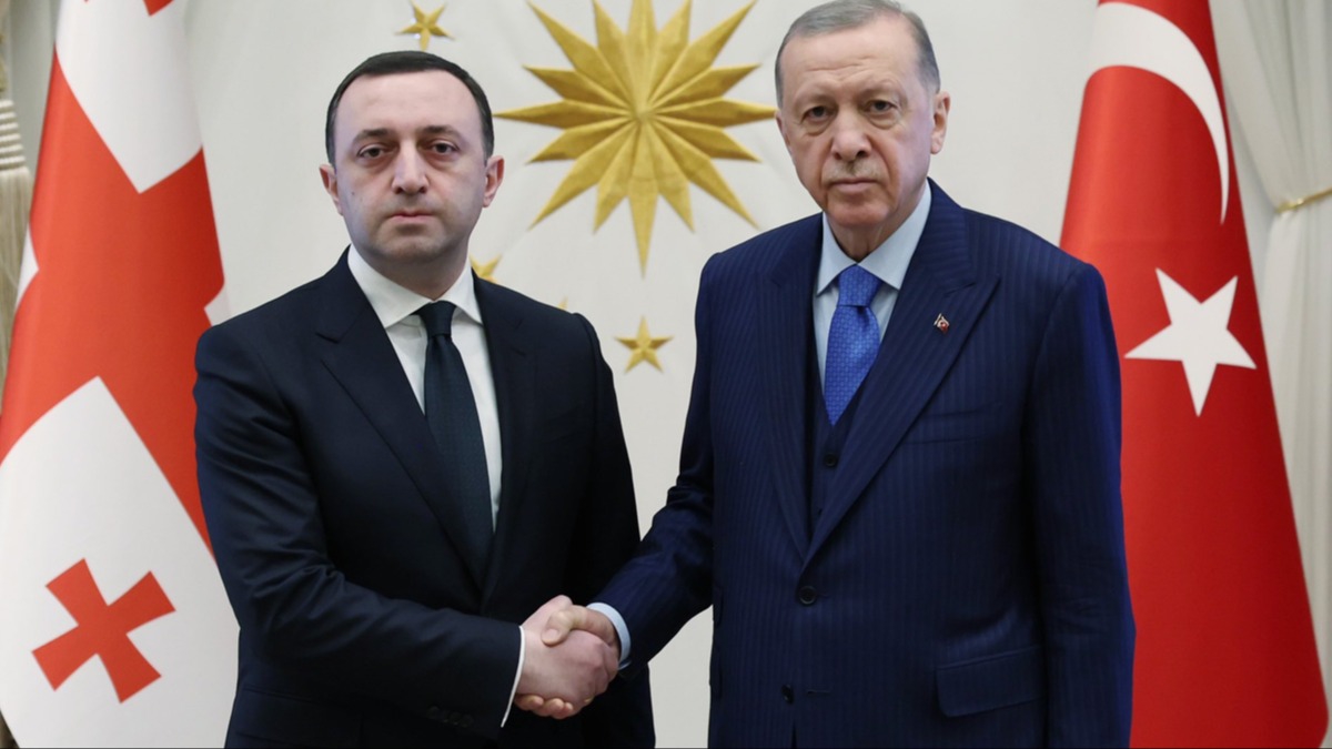 Cumhurbakan Erdoan, Garibavili'yi kabul etti