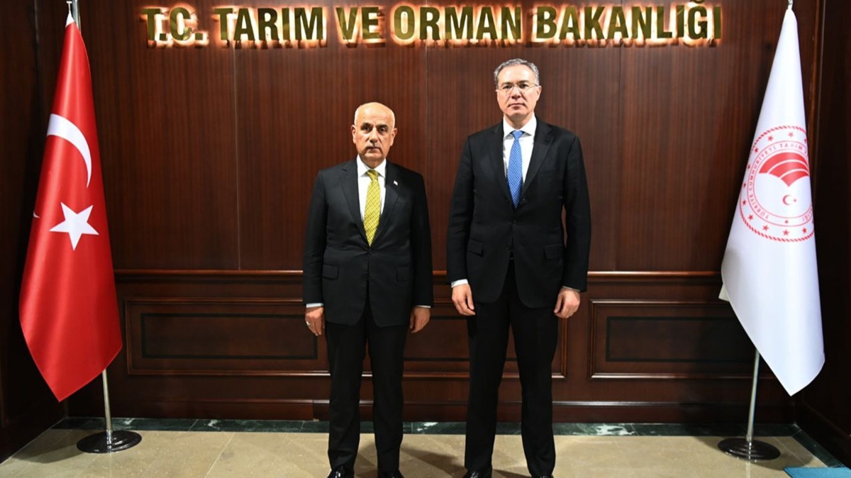 Bakan Kirici, Azerbaycan Cumhurbakan Yardmcs Movsumov ile grt 