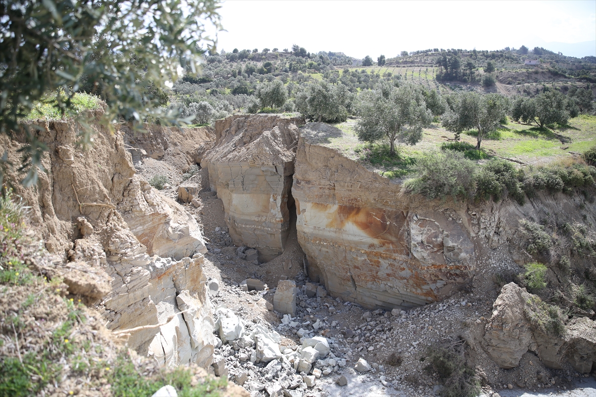 Depremler zeytin bah�esini ikiye ay�rd�:  M�thi� bir bo�luk olu�mu�