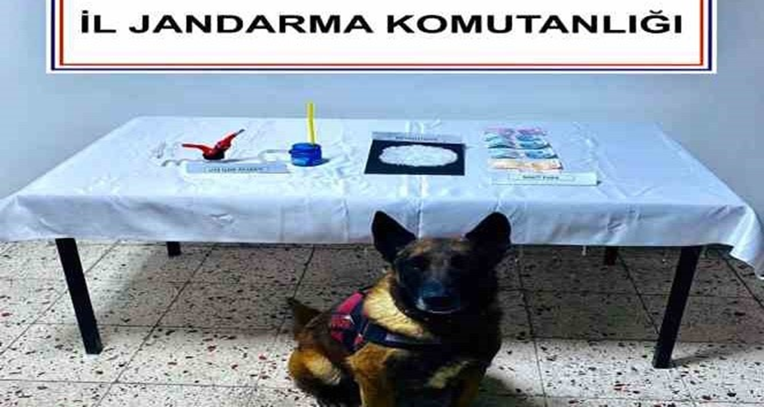 Mu�la'da operasyon: 2 ki�i tutukland�