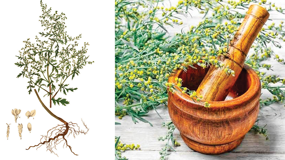 Peygamber s�p�rgesi