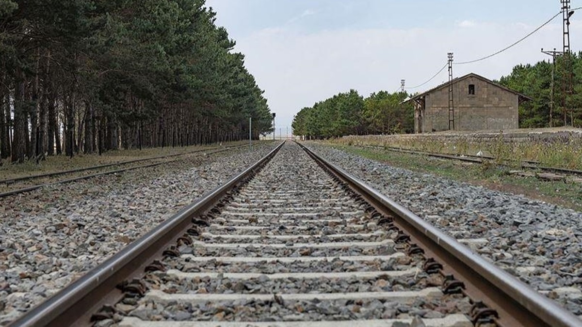 TCDD uyard: Otla mcadele iin tren yollarnda ilalama yaplacak