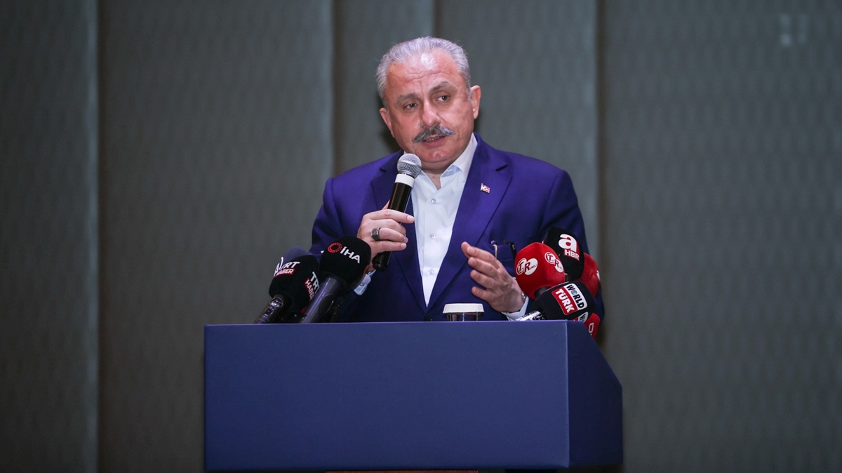TBMM Bakan entop: Trkiye'de siyasetilerin muhalefetini yeterli grmemi olacaklar ki taarruza getiler