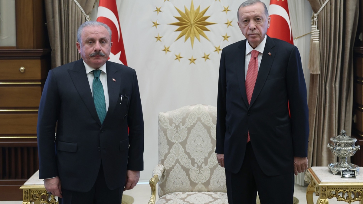 Cumhurbakan Erdoan, TBMM Bakan entop'u kabul etti