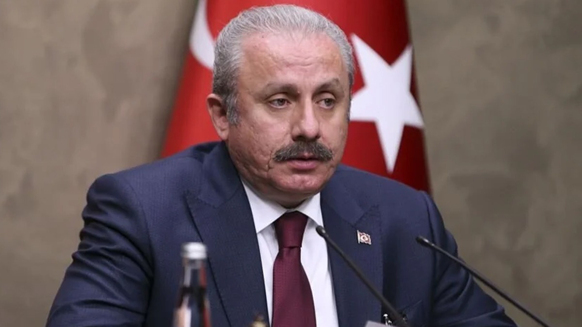 Meclis Bakan entop, Sinan Oan'a verilen oylar deerlendirdi