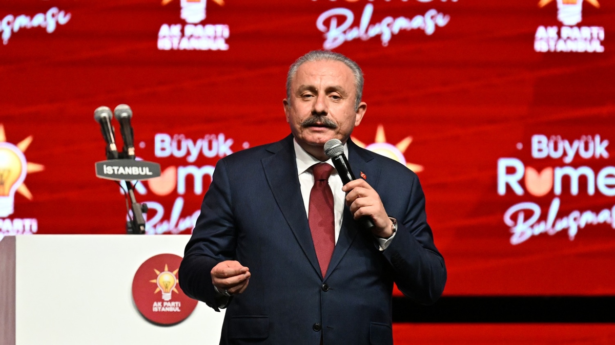 TBMM Başkanı Şentop: Türkiye ayakta olursa Türkler ve Müslümanlar daha itibarlı olur
