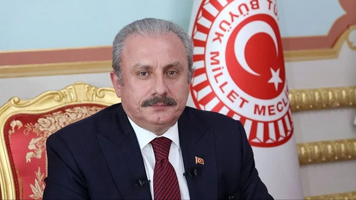 TBMM Bakan entop'tan 25 Mays Afrika Gn mesaj