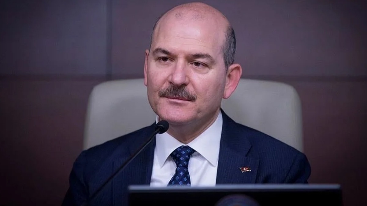 Bakan Soylu dağdaki terörist sayısını açıkladı