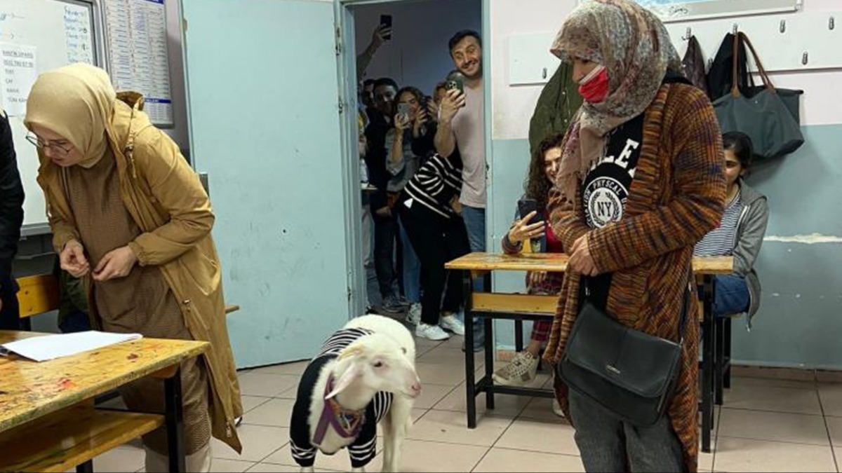 Kazak giydirdii kuzusuyla sandk bana gitti 